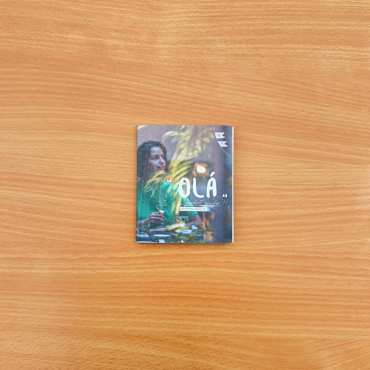 Brochure de la baie de Porto