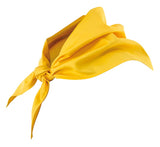 LENÇO COZINHA