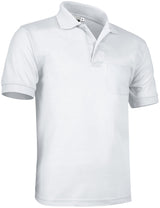 Polo HAWK
