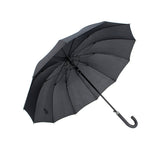 PARAPLUIE