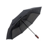 PARAPLUIE