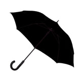 PARAPLUIE