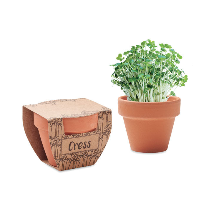 sementes de agrião em vaso