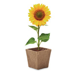 Vaso de Cultivo Sunflower Kit