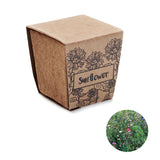 Vaso de Cultivo Sunflower Kit