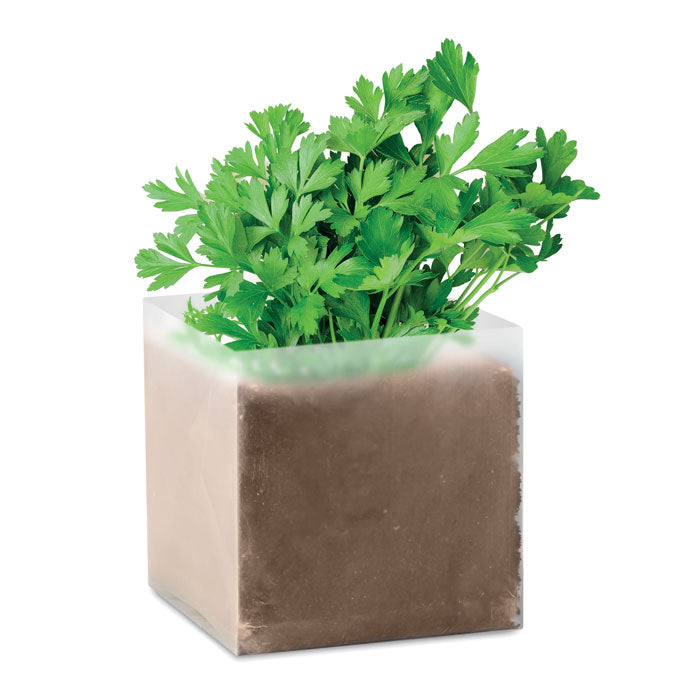 Composto sementes Salsa